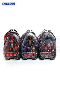 Set of 3: Predators Series 7