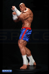 Sagat Statue (Super Street Fighter 4)