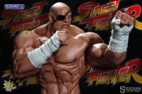 Sagat Statue (Super Street Fighter 4)
