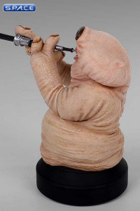 Droopy McCool Bust (Star Wars)