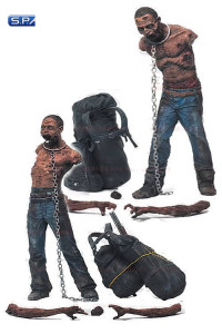 Complete Set of 5: The Walking Dead TV Series 3
