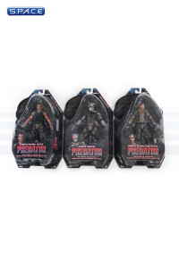 Complete Set of 3: Predators Series 8