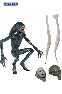 Set of 2: Prometheus Series 2 (Prometheus)