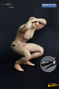 1/6 Scale Muscular Body - HJ002 (White)