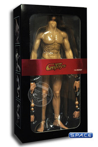 1/6 Scale Muscular Body - HJ002 (White)