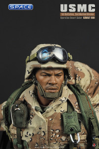 1/6 Scale USMC 1st Battalion 2nd Marine Division Operation Desert Saber Kuwait 1991