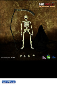 1/6 Scale 2012 Death - Simulated Human Skeletor SK01