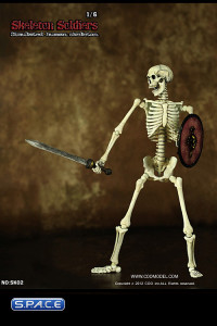 1/6 Scale Skeleton Soldiers - Simulated Human Skeleton SK02