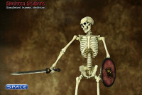 1/6 Scale Skeleton Soldiers - Simulated Human Skeleton SK02