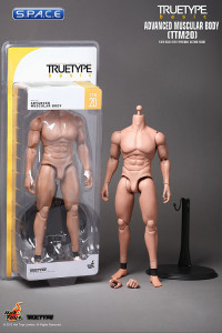 1/6 Scale TrueType Figure Advanced Muscular Body TTM20
