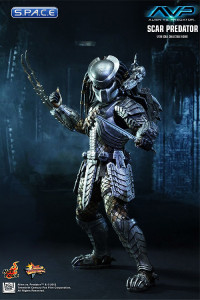 1/6 Scale Scar Predator Movie Masterpiece MMS190 (Alien vs. Predator)