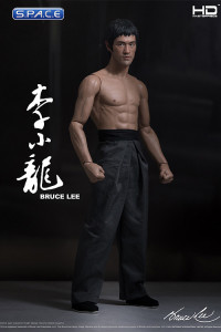 1/4 Scale Bruce Lee HD Masterpiece HD-1008 (Bruce Lee)