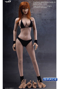 1/6 Scale Seamless Female Specialties Color Body - large breast / long red hair