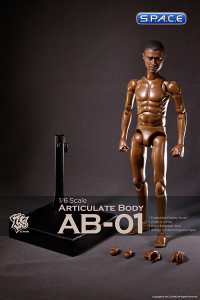 1/6 Scale ZCWO Articulate Body (AB-01)