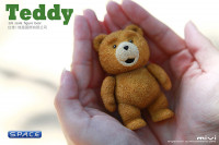 1/6 Scale Teddy