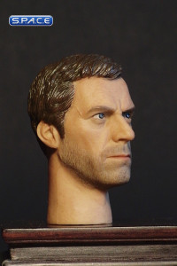 1/6 Scale Hugh Laurie Head Sculpt (Head Play)