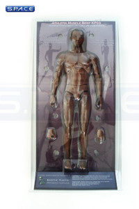 1/6 Scale Athletic Muscle Body Afro-American Version KP03C