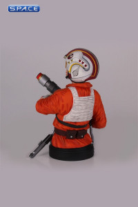 Luke Snowspeeder Pilot Deluxe Bust (Star Wars)