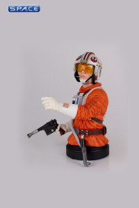 Luke Snowspeeder Pilot Deluxe Bust (Star Wars)