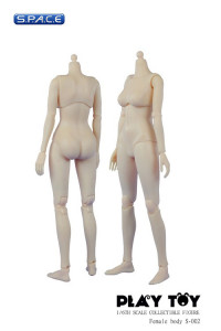1/6 Scale Asian Female Body S-002 (small breast)