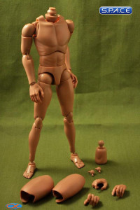 1/6 Scale Naked Body B001 - Narrow Shoulder