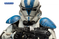 1/6 Scale Clone Trooper Deluxe 501st Legion (The Clone Wars)