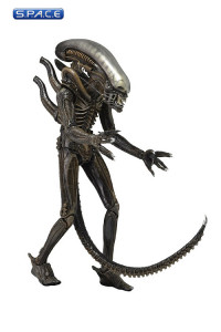 2er Satz: 1979 Alien & Aliens Warrior (Aliens Series 2)