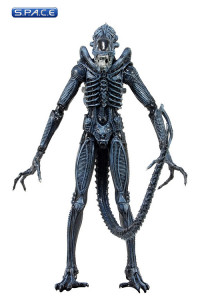 Set of 2: 1979 Alien & Aliens Warrior (Aliens Series 2)