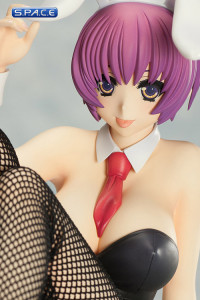 1/7 Scale Rare Selection Winter 2010 Minori Aiba PVC Statue (Venus Idol Project)