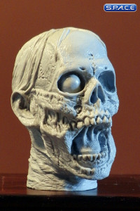 1/6 Scale Zombie Head Billy (unpainted)