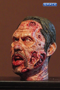 1/6 Scale Zombie Head Migge (professional paint)