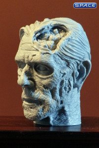 1/6 Scale Zombie Head Roger (unpainted)