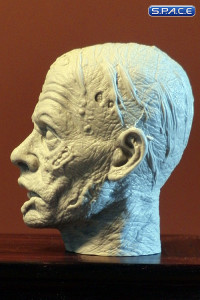 1/6 Scale Zombie Head Ruddy (unpainted)