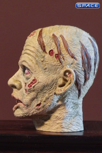 1/6 Scale Zombie Head Ruddy (regular paint)
