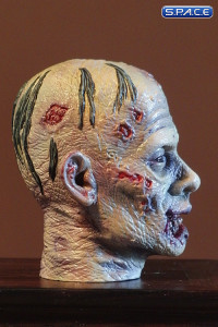 1/6 Scale Zombie Head Ruddy (professional paint)