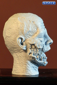 1/6 Scale Zombie Head Saul (unpainted)