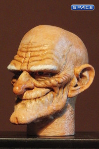 1/6 Scale Gnome Head Uncle Creepy (professional paint)