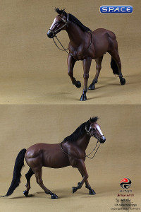 1/6 Scale Brown Horse (China Series)