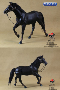 1/6 Scale Black Horse (China Series)