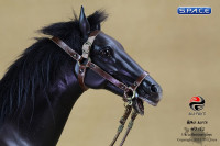 1/6 Scale Black Horse (China Series)