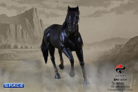 1/6 Scale Black Horse (China Series)