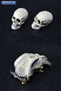 Predator Trophy Skulls Accessory Pack (Predators)