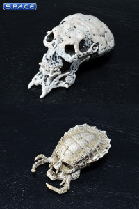 Predator Trophy Skulls Accessory Pack (Predators)