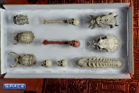 Predator Trophy Skulls Accessory Pack (Predators)