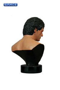 1:1 Rocky Life-Size Bust (Rocky)