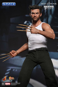 1/6 Scale Wolverine Movie Masterpiece MMS220 (The Wolverine)