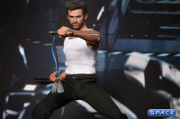 1/6 Scale Wolverine Movie Masterpiece MMS220 (The Wolverine)