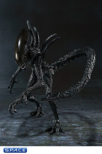 S.H.MonsterArts Alien Warrior (Alien vs. Predator)