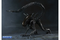 S.H.MonsterArts Alien Warrior (Alien vs. Predator)