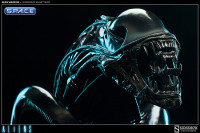 Alien Warrior Legendary Scale Bust (Aliens)